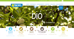 Desktop Screenshot of bjorg.com
